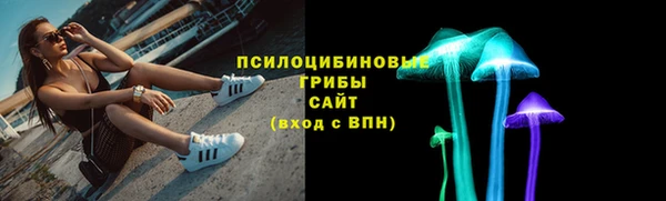 прущая мука Ельня