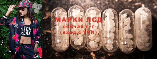 бошки Дмитриев